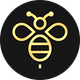 coin icon