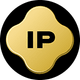 coin icon