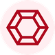 coin icon