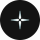 coin icon
