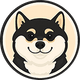 coin icon