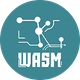coin icon