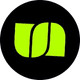 coin icon