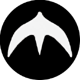 coin icon