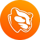 coin icon