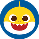coin icon