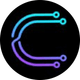 coin icon