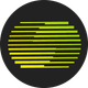 coin icon