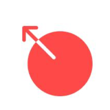 This is the logo of the coin.