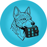 coin icon