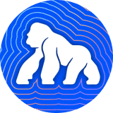 This is the logo of the coin.