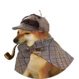 PIPEDOG