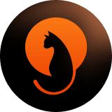 This is the logo of the coin.