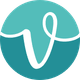 coin icon