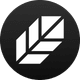 coin icon